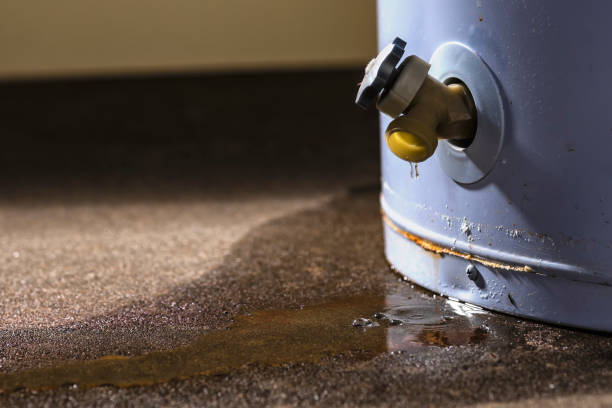 Best Flooded house restoration  in Hartsville, SC