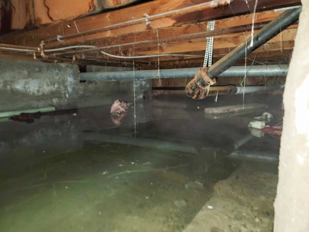 Best Water damage restoration near me  in Hartsville, SC