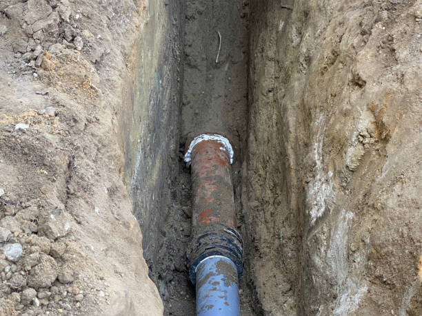 Best Flood restoration services  in Hartsville, SC