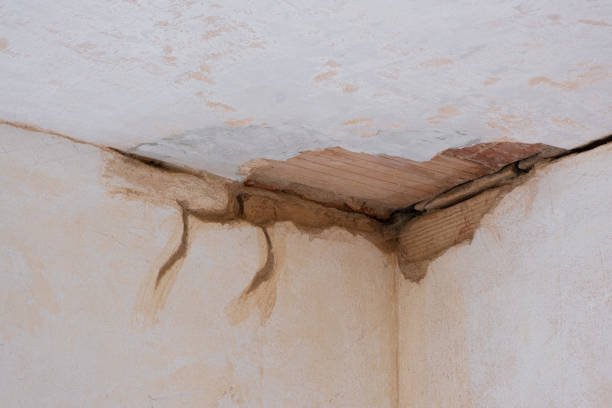 Best Professional water damage repair  in Hartsville, SC