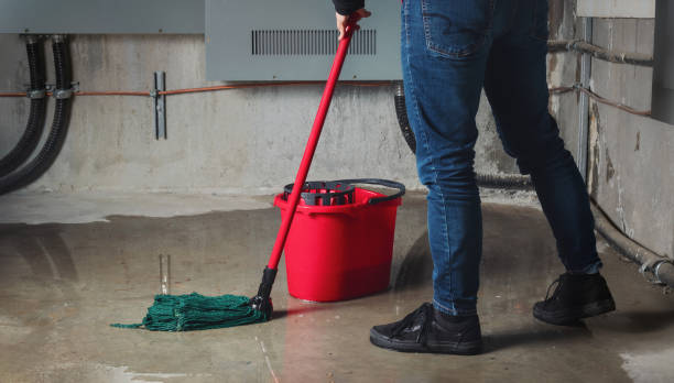  Hartsville, SC Water damage restoration Pros