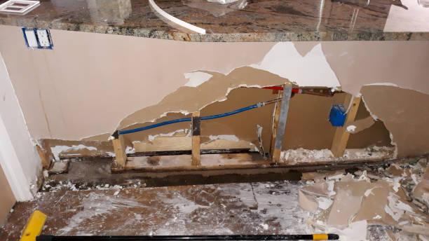 Best Water damage cleanup near me  in Hartsville, SC