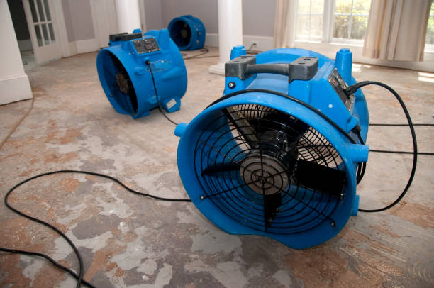 Best 24/7 water damage repair  in Hartsville, SC