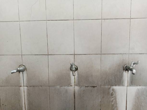 Best Ceiling water damage repair  in Hartsville, SC