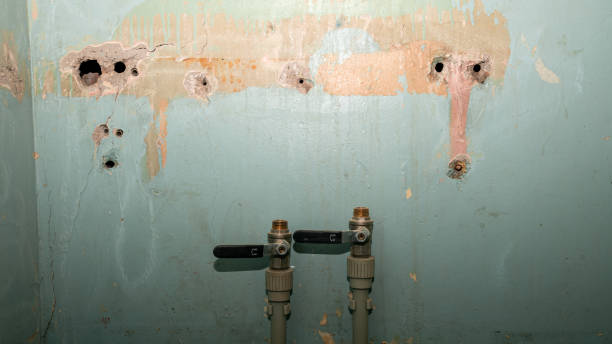 Best Fire Damage Restoration  in Hartsville, SC