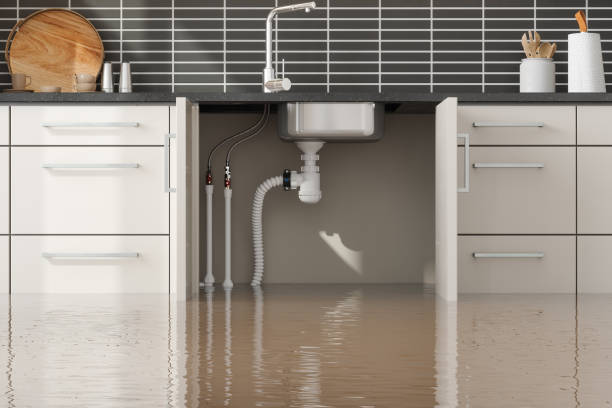 Best Mold removal after water damage  in Hartsville, SC