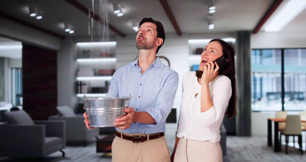 Best Water damage cleanup near me  in Hartsville, SC