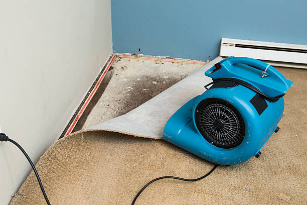 Best Emergency water damage restoration  in Hartsville, SC